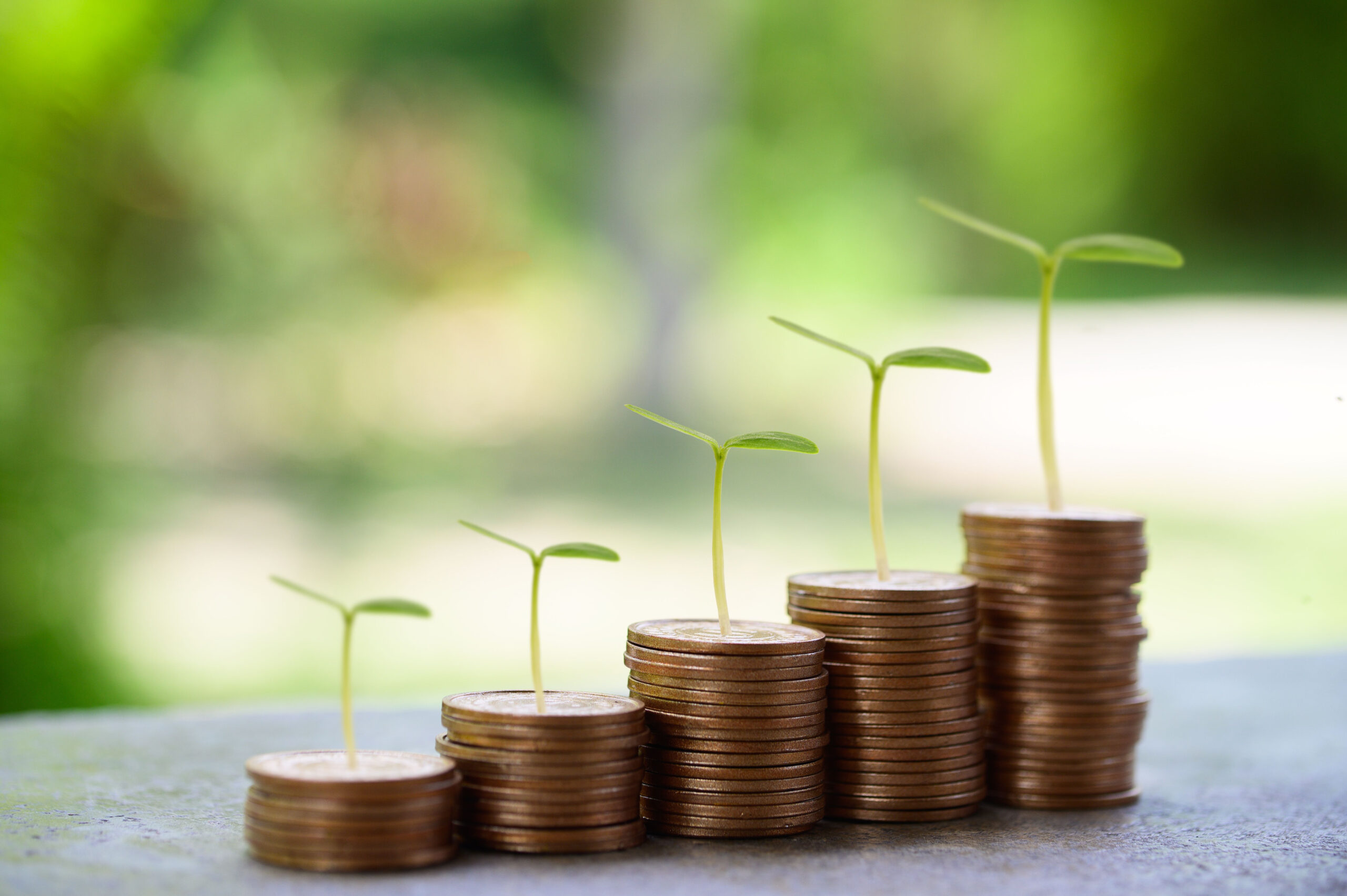 money Finances and Flourishing: The impact of resources on well-being