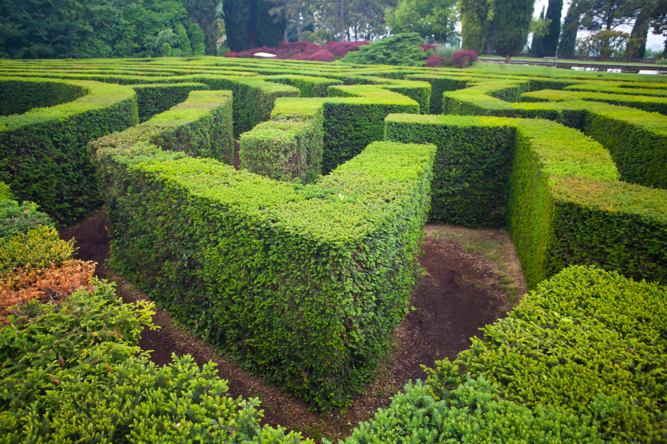 Maze in a park